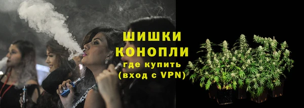 гидропоника Гусев