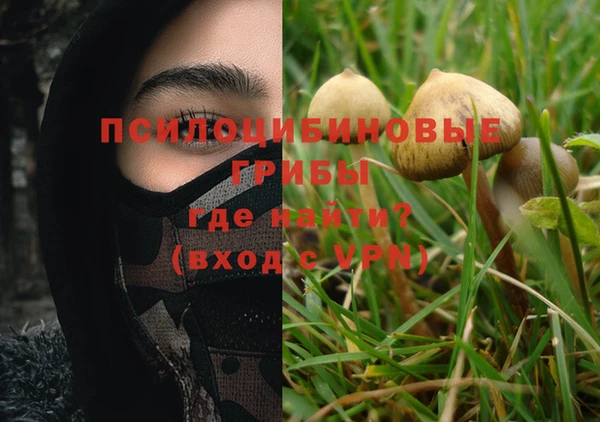 наркотики Гусь-Хрустальный