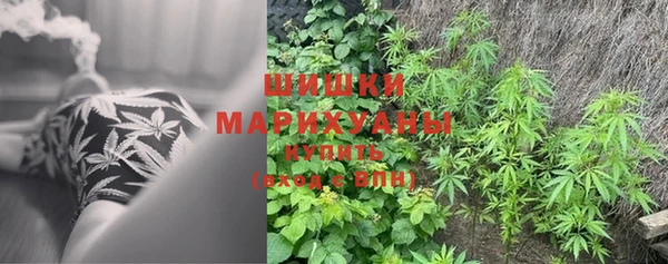 дживик Покров