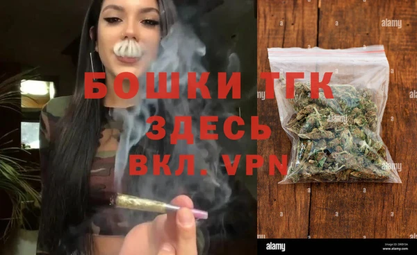 гидропоника Гусев