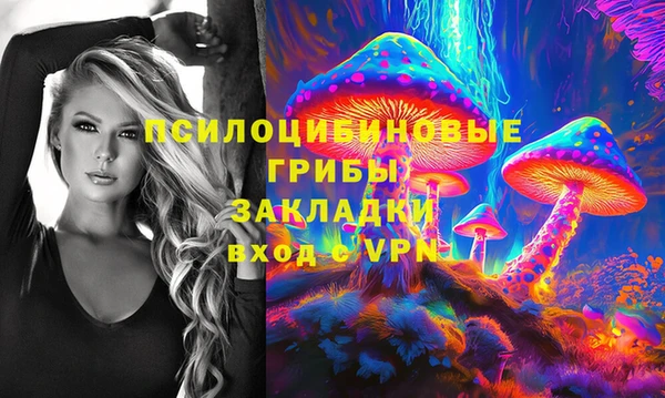гашик Гусиноозёрск