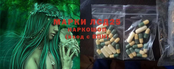 гидропоника Гусев