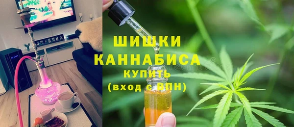 гашик Гусиноозёрск