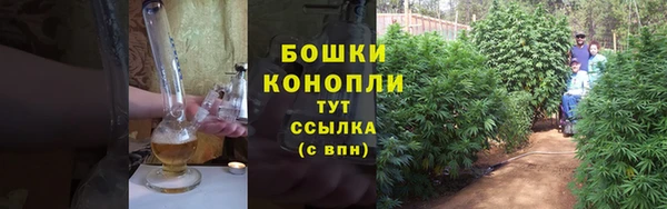 гашик Гусиноозёрск