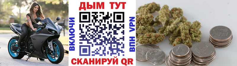 Бошки Шишки планчик  Купить где  Кашин 